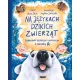 Zdjecie nr 1