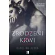 Zdjecie nr 1