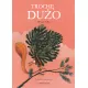 Zdjecie nr 1