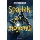 Zdjecie nr 1