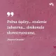 Zdjecie nr 2