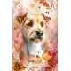 Zdjecie nr 3