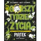 Zdjecie nr 1