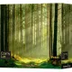 Zdjecie nr 1