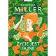 Zdjecie nr 1