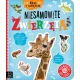 Zdjecie nr 1