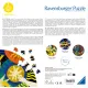 Zdjecie nr 4
