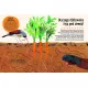 Zdjecie nr 4