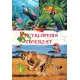 Zdjecie nr 1