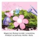 Zdjecie nr 4
