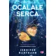 Zdjecie nr 1
