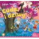 Zdjecie nr 1