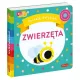 Zdjecie nr 2