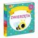 Zdjecie nr 1