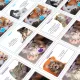 Zdjecie nr 4