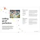 Zdjecie nr 3