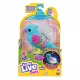 Zdjecie nr 2