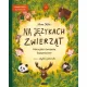 Zdjecie nr 1