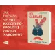 Zdjecie nr 2