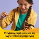 Zdjecie nr 3