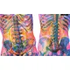 Zdjecie nr 3