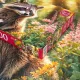 Zdjecie nr 6