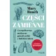 Zdjecie nr 1