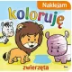 Zdjecie nr 1