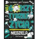 Zdjecie nr 1