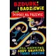 Zdjecie nr 1