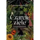 Zdjecie nr 1