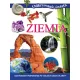 Zdjecie nr 1