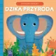 Zdjecie nr 1