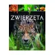 Zdjecie nr 1
