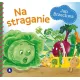 Zdjecie nr 1