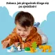 Zdjecie nr 5