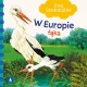 Zdjecie nr 1