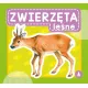 Zdjecie nr 1